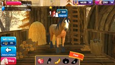 Horse Paradise - My Dream Ranch Screenshot 4