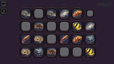 Animals Memory: Underwater Kingdom Screenshot 6