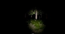 Alone In The Forest VR Screenshot 2