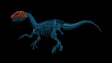 Dinosaur Fossil Hunter Screenshot 2