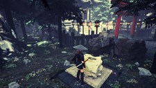 Tale of Ninja: Fall of the Miyoshi Screenshot 3