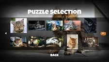 Jigsaw Puzzle Cats Screenshot 3