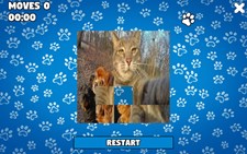 CatDog Puzzle Screenshot 8