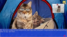 Cat President 2: Purrlitical Revolution Screenshot 6