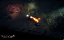 Shadows: Heretic Kingdoms Screenshot 5