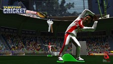 TableTop Cricket Screenshot 5