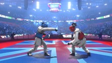 Taekwondo Grand Prix Screenshot 4