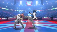 Taekwondo Grand Prix Screenshot 7
