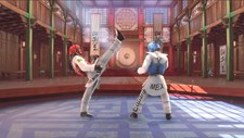 Taekwondo Grand Prix Screenshot 5