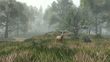 Life is Feudal: Forest Village Screenshot 5