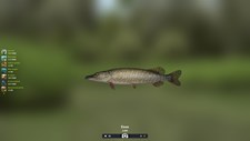 Trophy Fishing 2 Screenshot 5