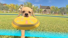Dream Pets VR Screenshot 5
