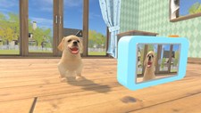 Dream Pets VR Screenshot 1