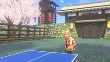VR Ping Pong Paradise Screenshot 5