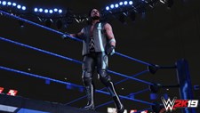 WWE 2K19 Screenshot 3