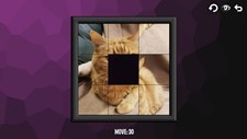 Intelligence: Cats Screenshot 6