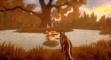 Paws and Soul Screenshot 7