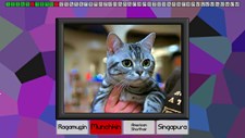 Test your knowledge: Cats Screenshot 3