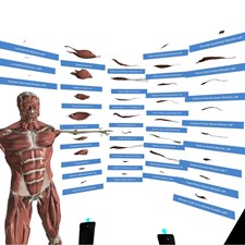 VR Anatomy Screenshot 1