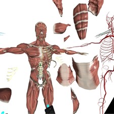 VR Anatomy Screenshot 7