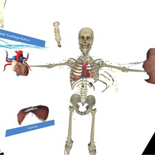 VR Anatomy Screenshot 3