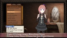 Atelier Rorona ~The Alchemist of Arland~ DX Screenshot 3