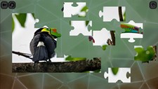 Puzzles for smart: Birds Screenshot 6