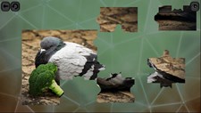 Puzzles for smart: Birds Screenshot 7