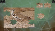 Puzzles for smart: Birds Screenshot 3