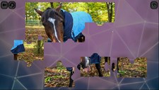Puzzles for smart: Horses Screenshot 1