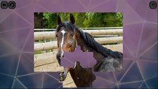 Puzzles for smart: Horses Screenshot 4
