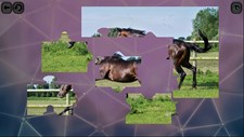 Puzzles for smart: Horses Screenshot 2