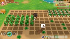 STORY OF SEASONS: Friends of Mineral Town Screenshot 8