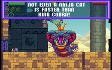 Super Ninja Meow Cat Screenshot 4