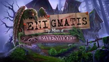Enigmatis 2: The Mists of Ravenwood Screenshot 2